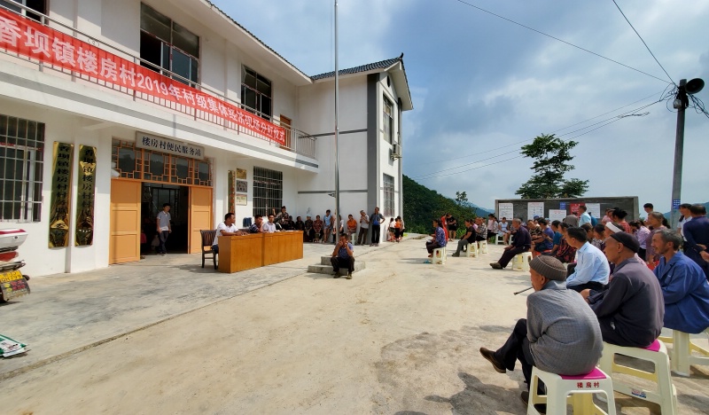 香树坝村委会最新动态报道