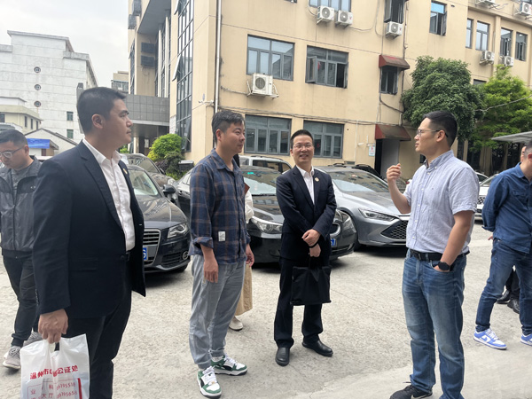 丽岙街道最新新闻概览