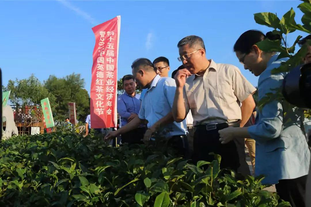 石灰铺镇领导团队引领未来塑造新篇章