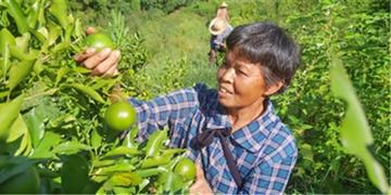 小山村民委员会最新动态报道