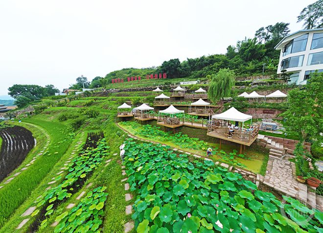 阳江林场田畔分场领导最新概览