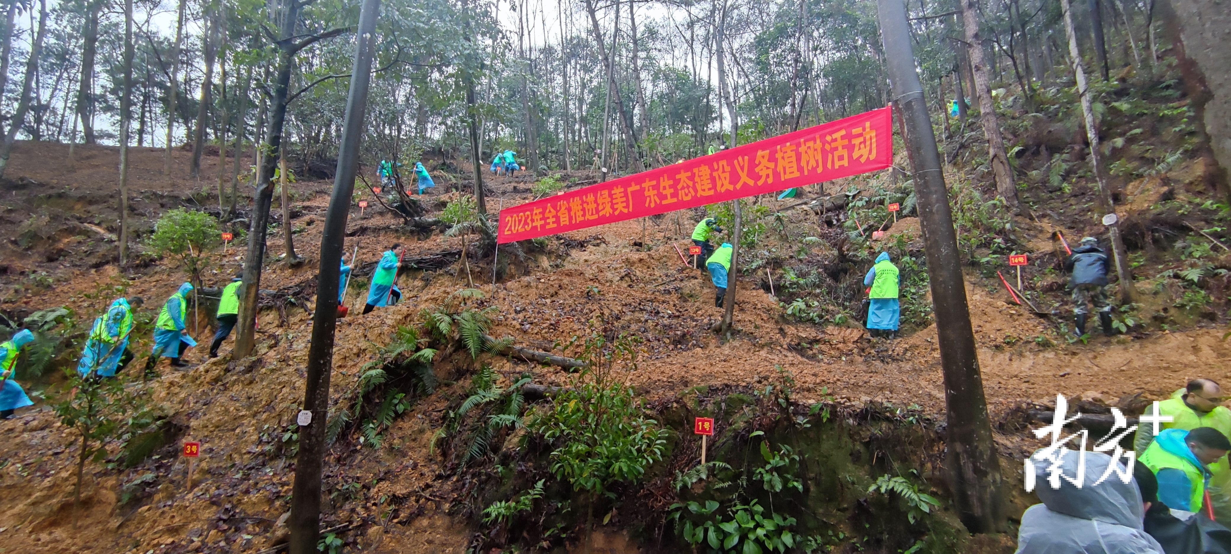 仁化林场绿色发展先锋，最新新闻动态报道