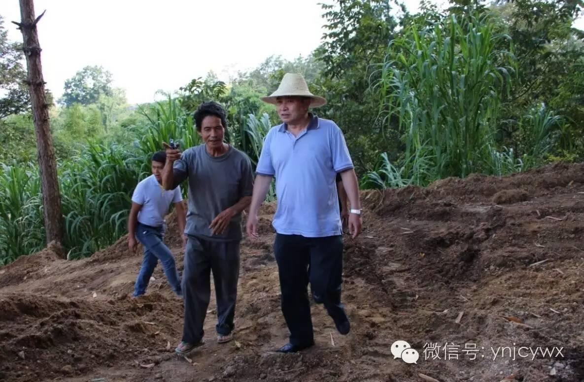 五岔路乡新项目，引领乡村发展的全新动力源泉