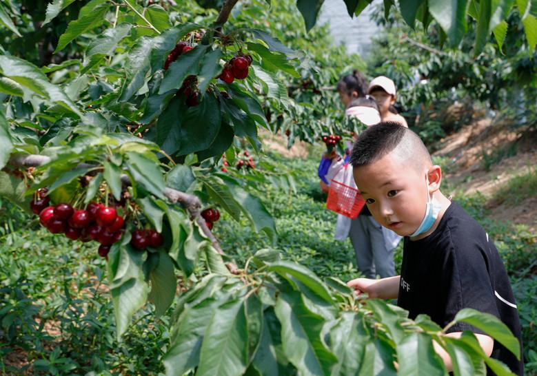 卡如乡最新新闻动态报道