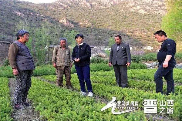 雄湾村委会领导概览更新