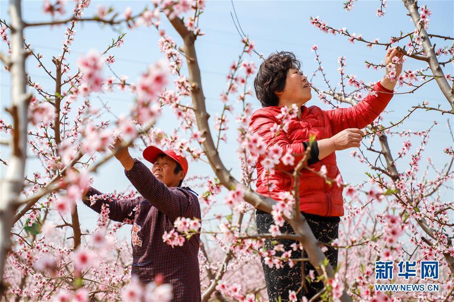 下峪乡发展规划揭秘，打造繁荣宜居乡村新面貌