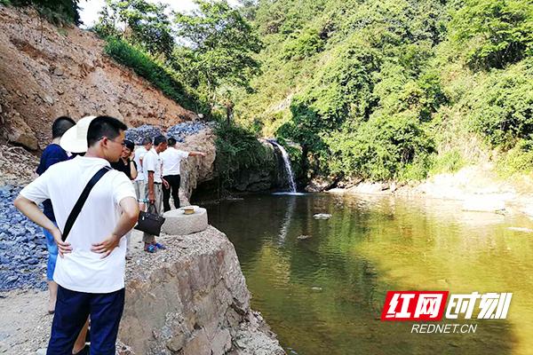 太和堂镇未来繁荣蓝图，最新发展规划揭秘