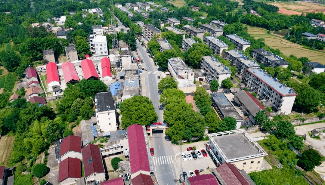 前达村发展规划，塑造乡村新貌，推动可持续发展