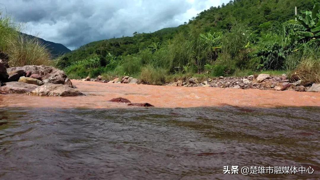 河水村委会启动新项目重塑乡村，推进可持续发展进程