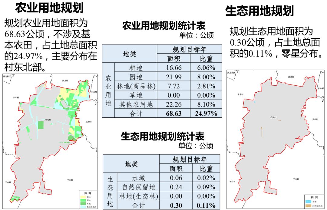 洛巴村未来蓝图，最新发展规划引领乡村重塑