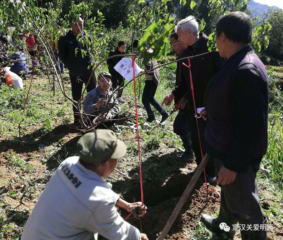 土主镇未来城市蓝图发展规划揭秘