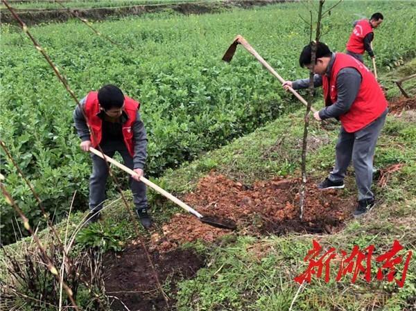 龙泉岩乡新发展规划，塑造乡村新貌，推动可持续发展进程