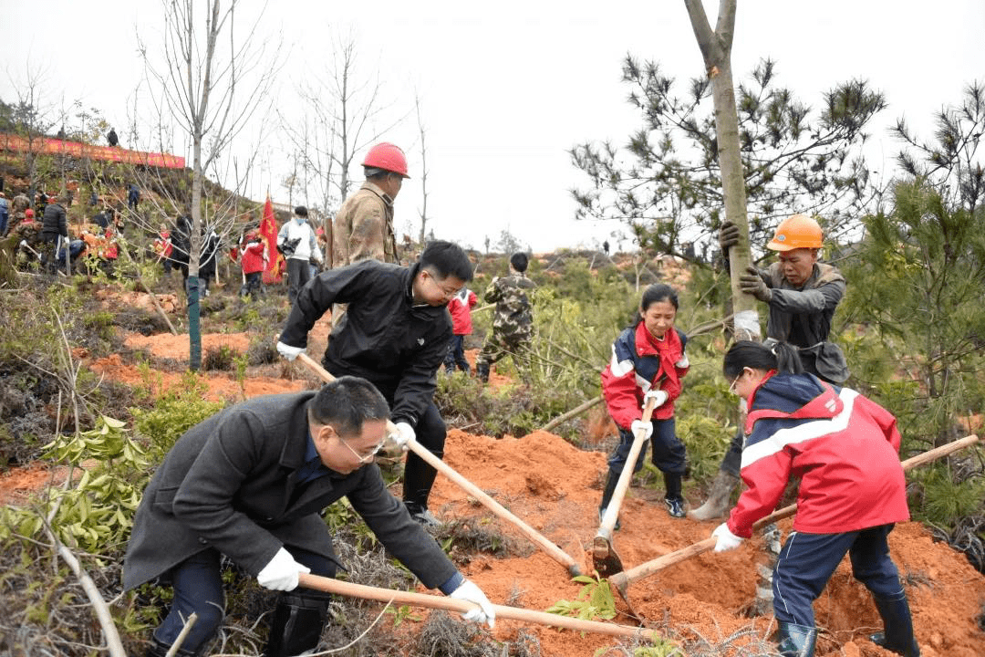 安溪畲族乡最新动态报道