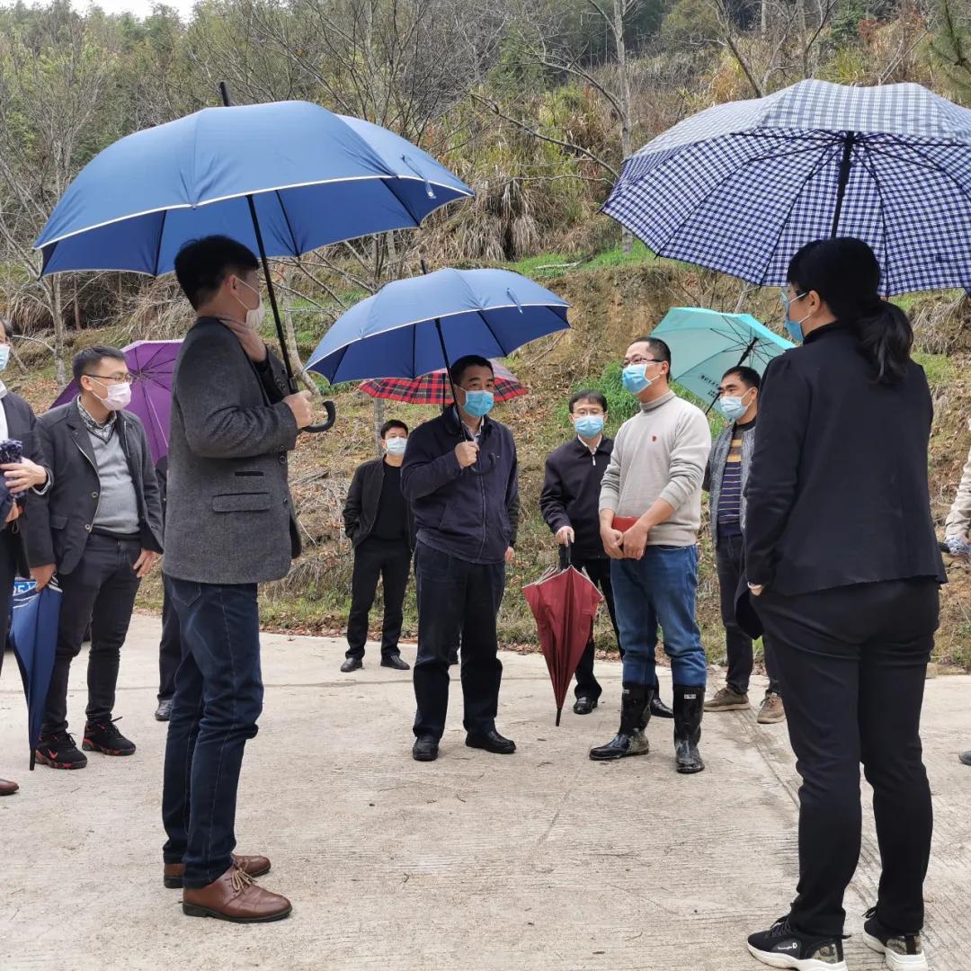 茫荡镇未来繁荣新蓝图，最新发展规划揭秘