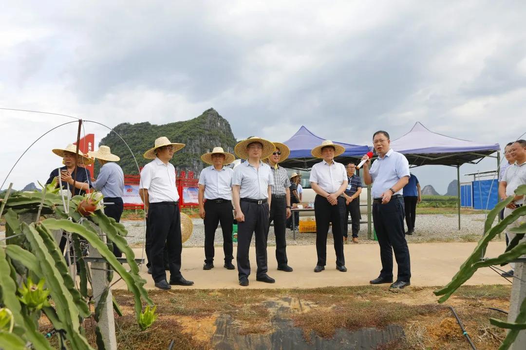 金光农场最新发展规划，打造现代化农业新标杆