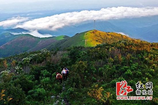 大熊山国有林场新闻动态深度解析