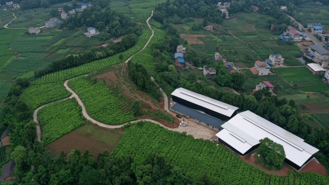 广福镇未来繁荣蓝图，最新发展规划揭秘