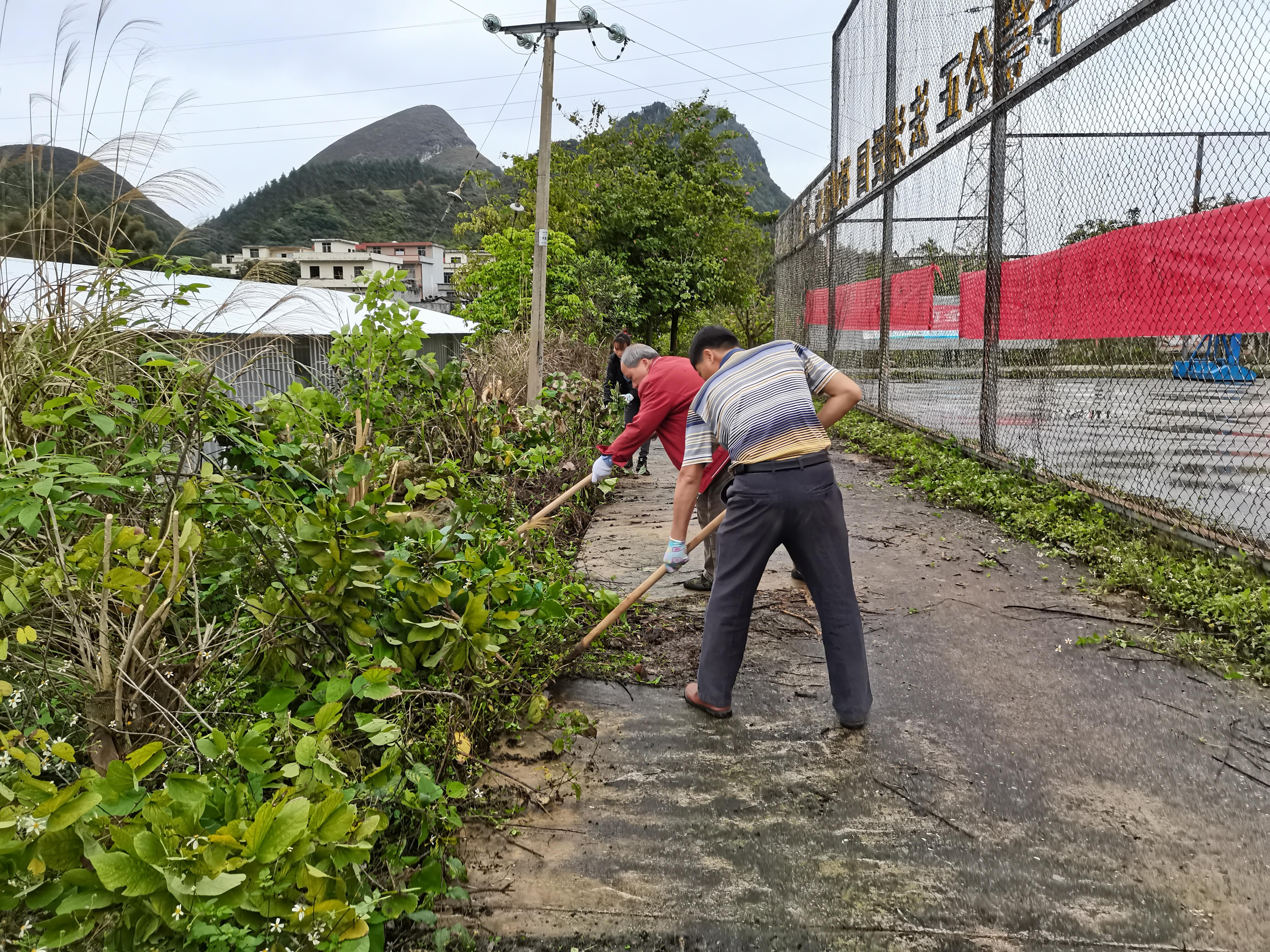 马山乡领导最新概览