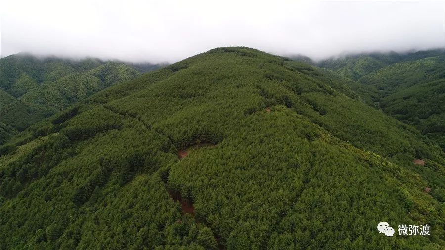 瓦庆村新项目，乡村振兴的新动力