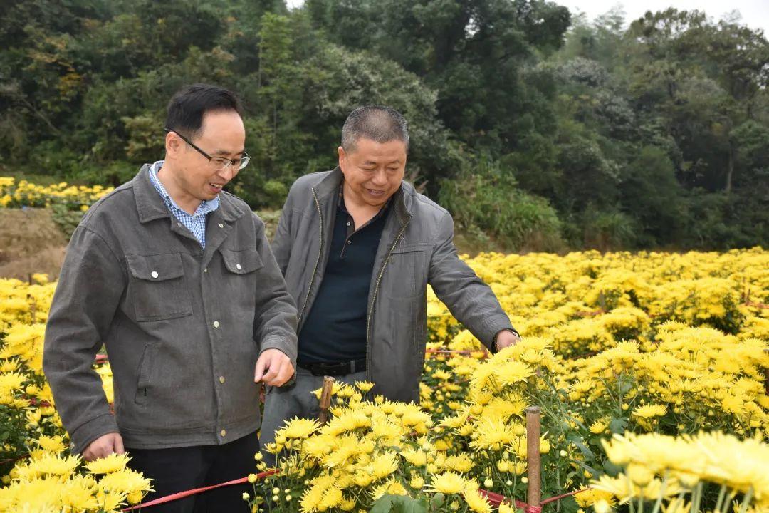 奋斗乡全新发展规划，乡村振兴典范之路