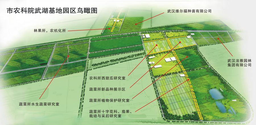 如皋市蚕种场最新发展规划概览