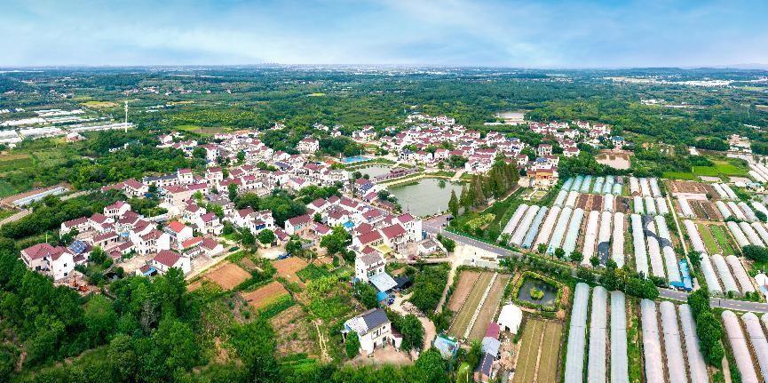 鹤山农场发展规划，现代化农业与生态旅游胜地建设新篇章