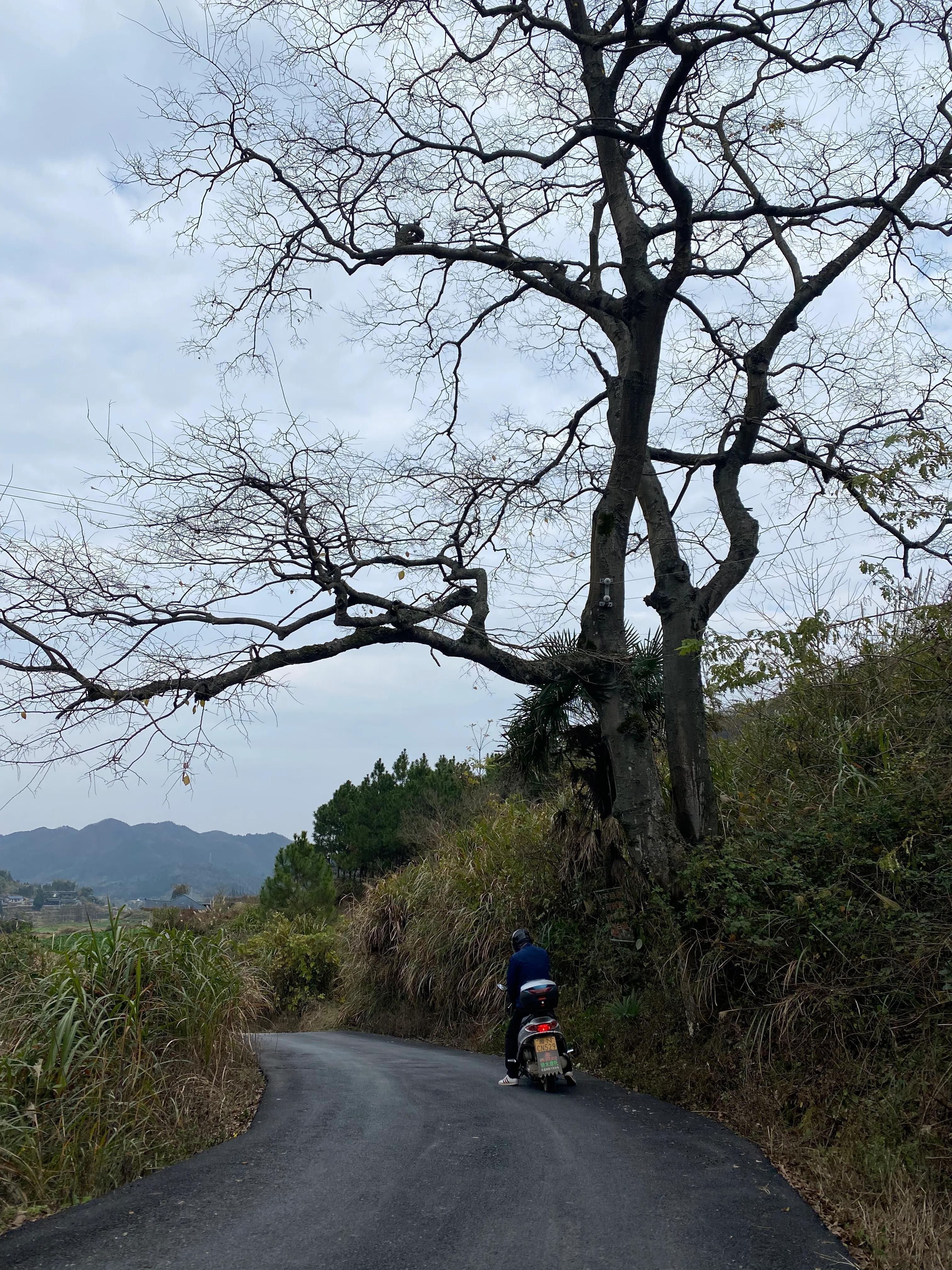 岩比村最新新闻报道