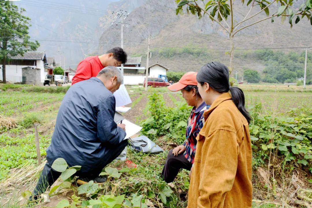 菖蒲村委会新项目启动，乡村振兴新篇章