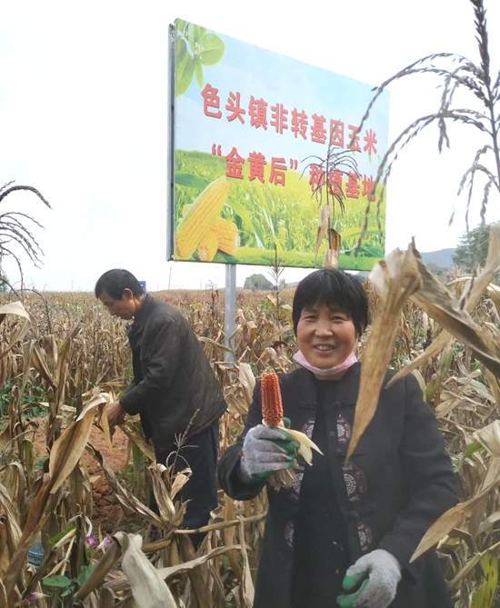 霍家沟村委会领导团队全新亮相，展望未来发展之路