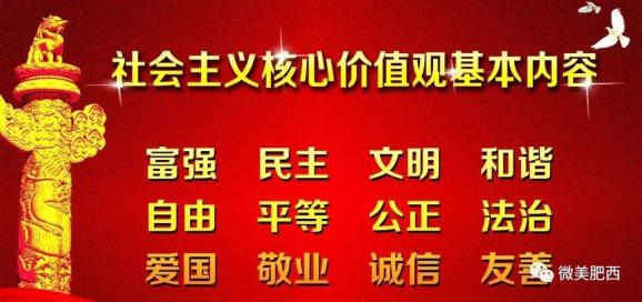 天子村委会最新招聘信息及其相关概述