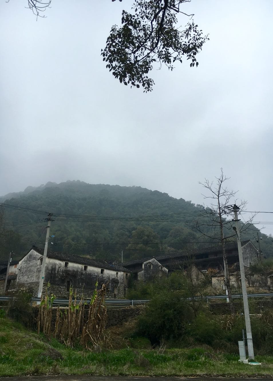 高城村天气预报更新通知