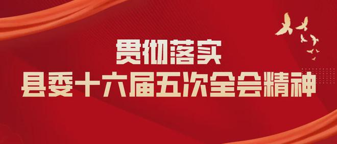 长荡镇最新招聘信息详解及深度解读