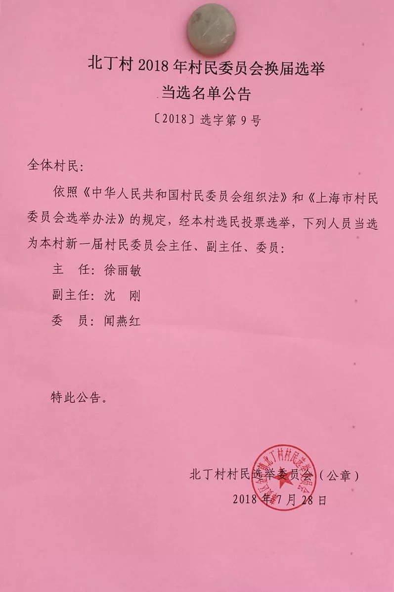 杨柳村委会人事任命更新，村级治理迈向新台阶