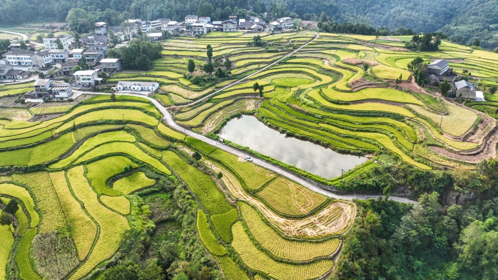 红垭村天气预报更新