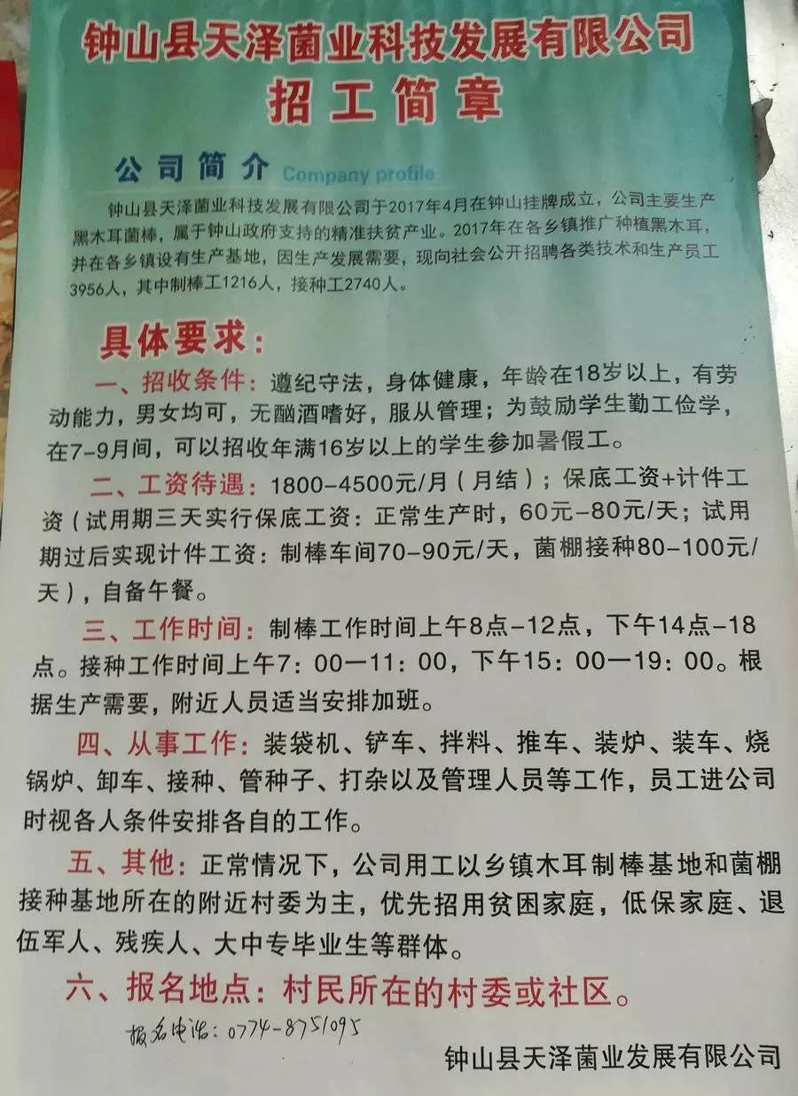 朱家镇最新招聘资讯总览