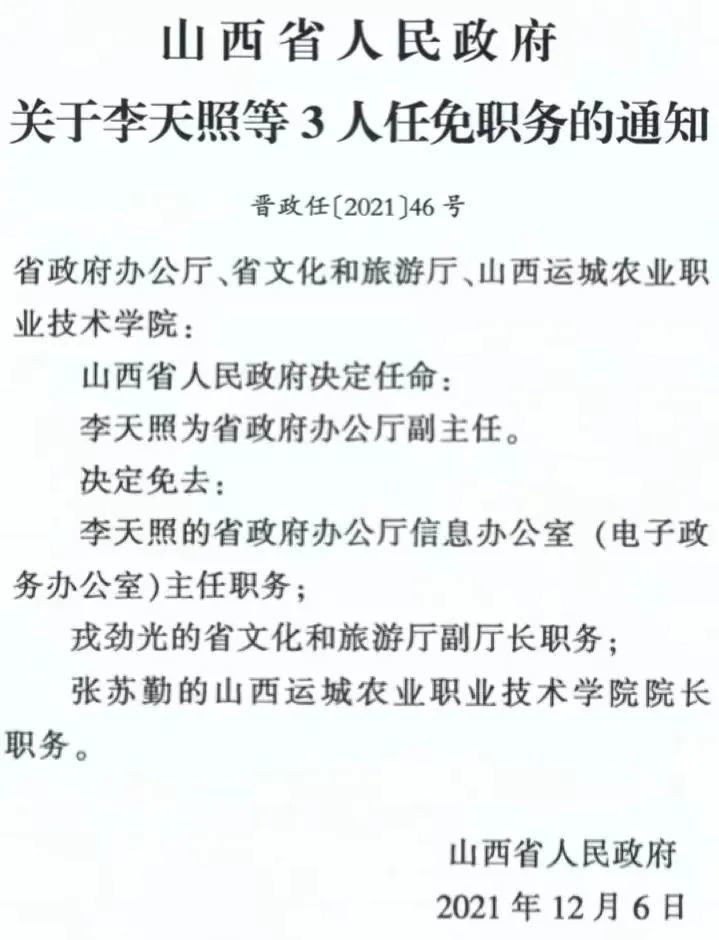 爱玉村最新人事任命，塑造未来的领导力量