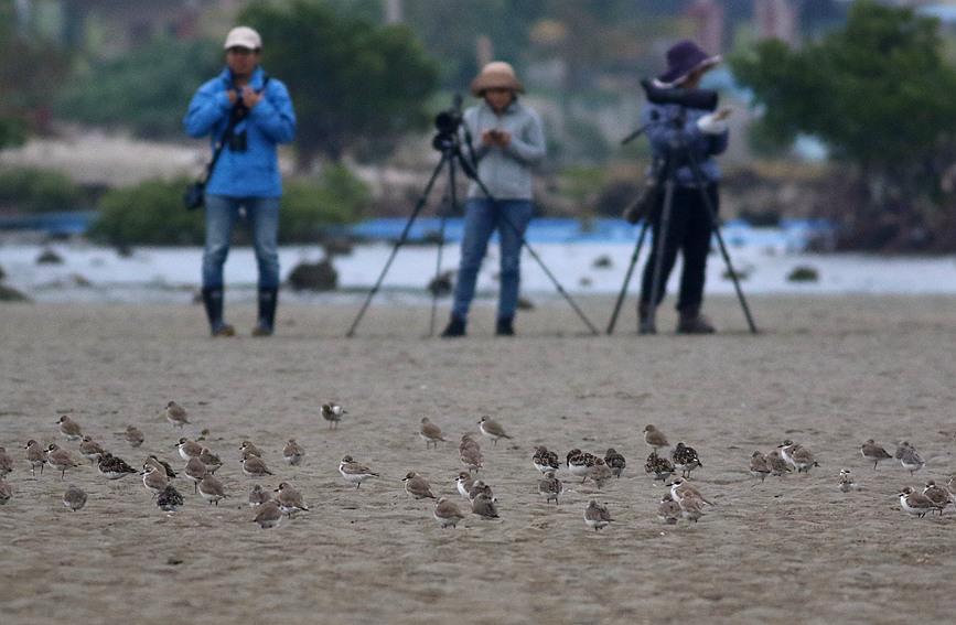 海南藏族自治州市企业调查队最新项目研究