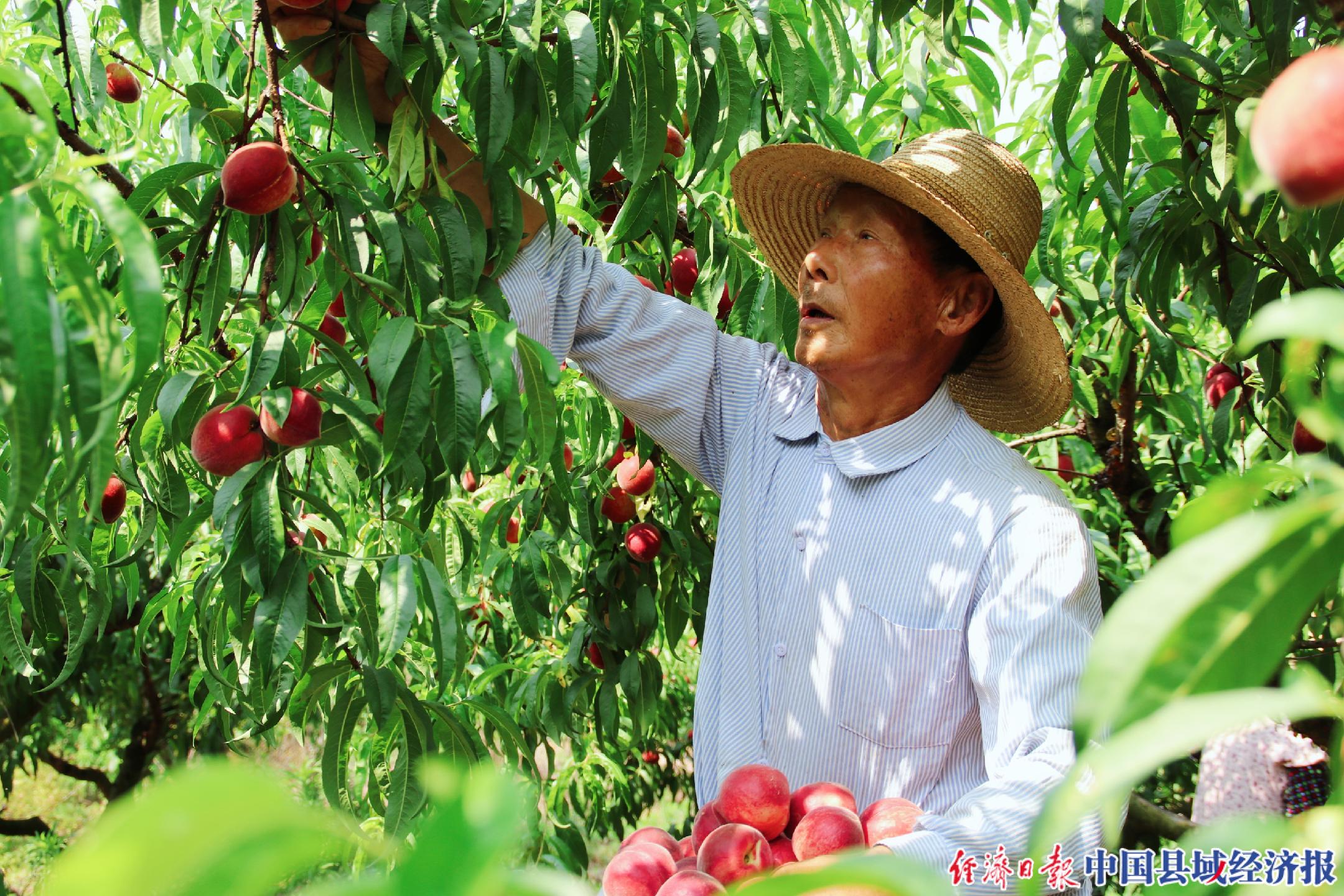 铭传乡最新新闻报道