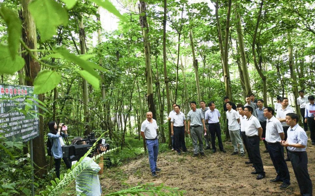 九龙岭林场领导团队引领未来发展新篇章