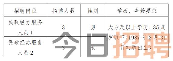 汝阳县人民政府办公室最新招聘公告概览