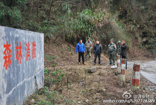 板溪林场交通升级助力地方发展最新动态