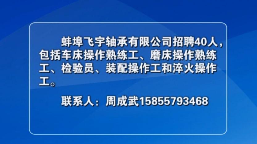 五河县人民政府办公室最新招聘公告解读